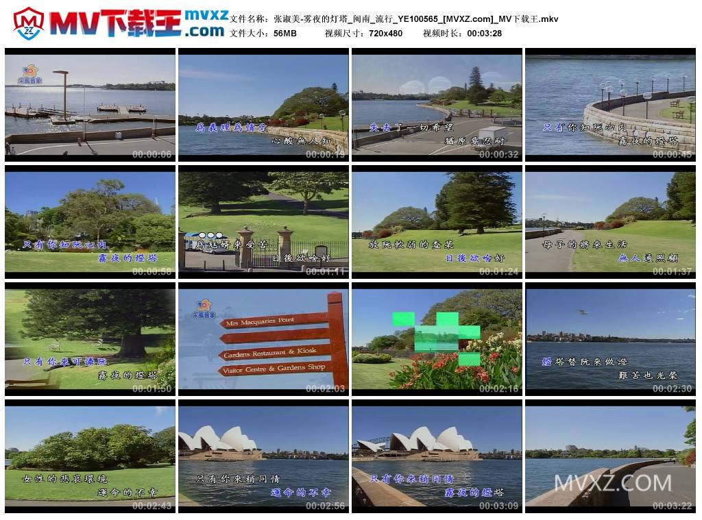 张淑美-雾夜的灯塔_闽南_流行_YE100565